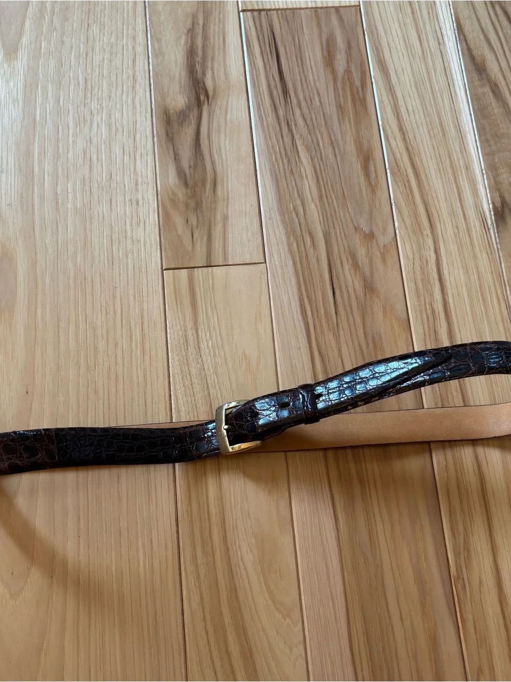 Vintage hickok alligator